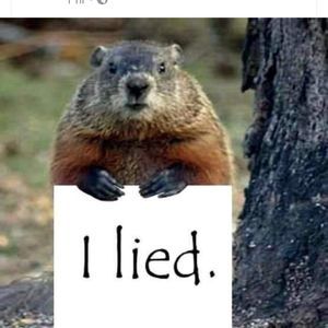 Meet your Posher, Micki